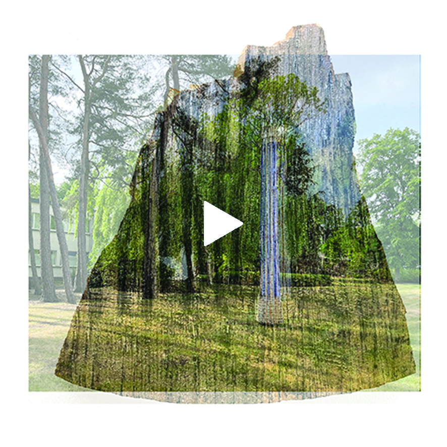21 Metamorfose - Transformatie - transmutatie landscape 5 kopiëren
